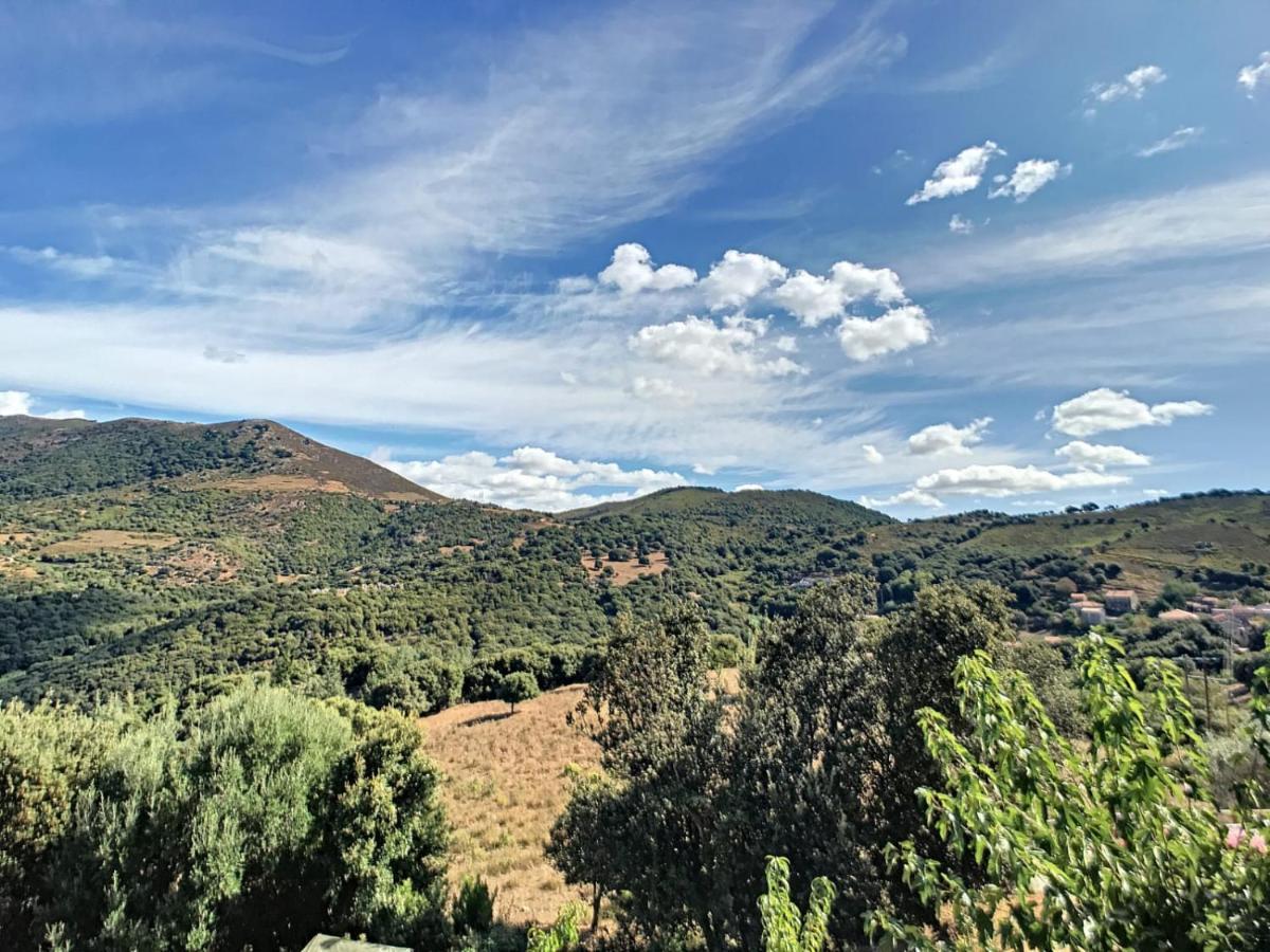 Villa U Me Sognu Arbellara Exterior foto